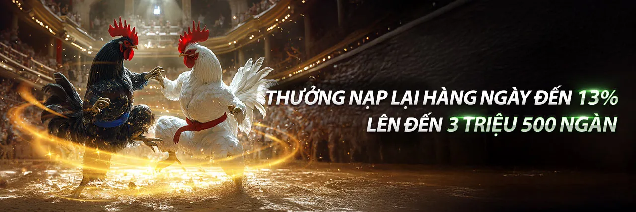 Hình ảnh Cờ Bạc Có Trách Nhiệm Nextbet Link